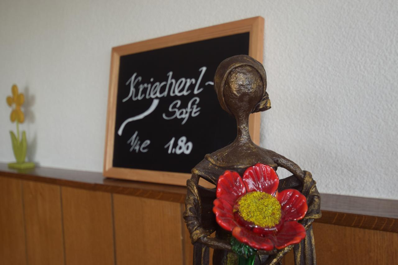 Gasthaus Donaublick Leiben Εξωτερικό φωτογραφία